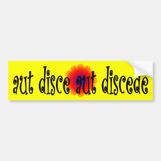 Adesivo Para Carro Disce aut disce (Frente)
