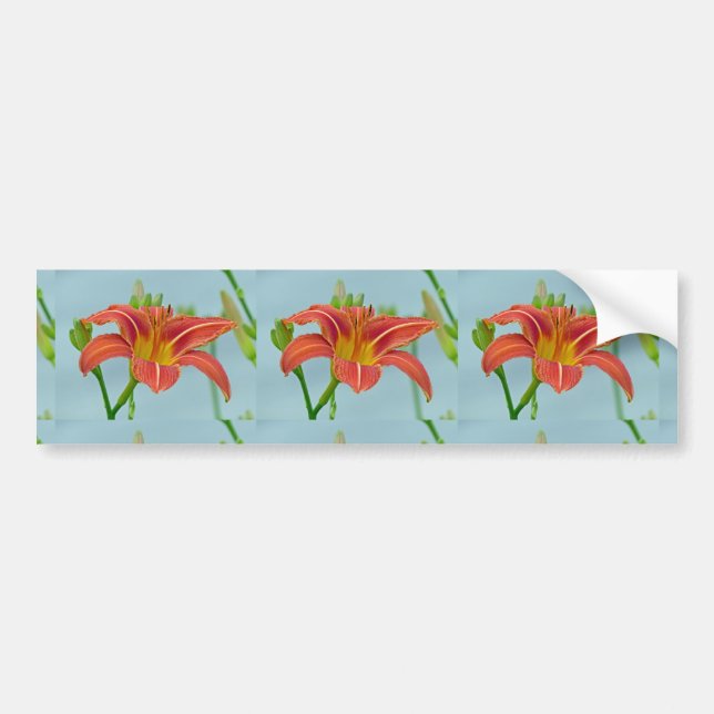 Adesivo Para Carro Ditch Lily (Frente)