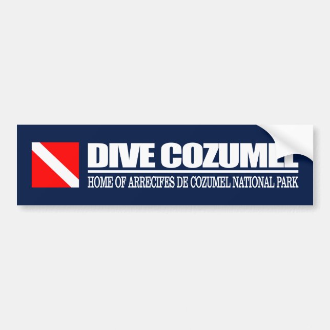 Adesivo Para Carro Dive Cozumel DF2 (Frente)