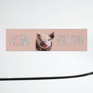 Adesivo Para Carro do "vegan não da comida amigo" com leitão bonito