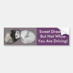 Adesivo Para Carro Doce Sonhos Furões