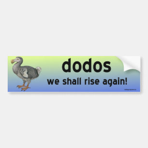 Adesivo Para Carro dodos