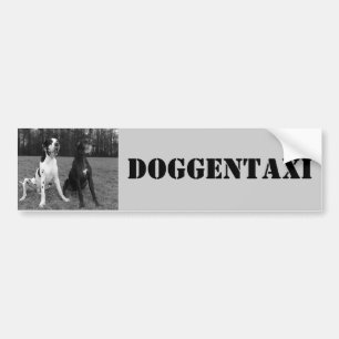 Adesivo Para Carro Dogge alemão, Great Dane, Arlequim, Táxi,