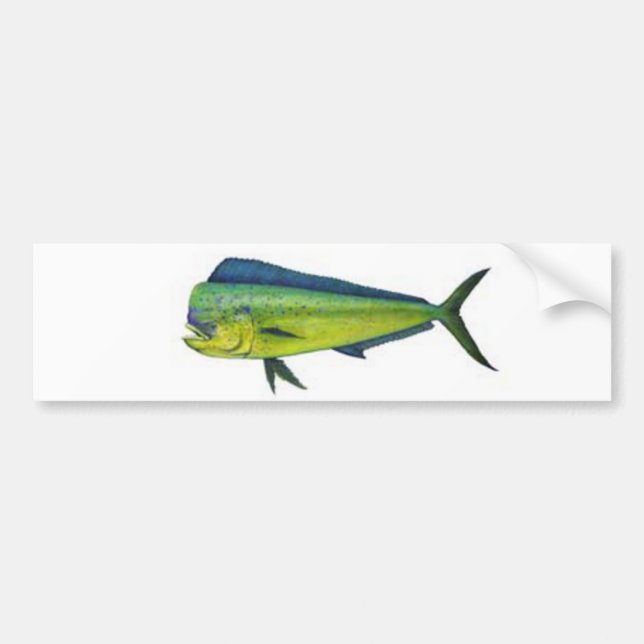Adesivo Para Carro Dorado (Frente)