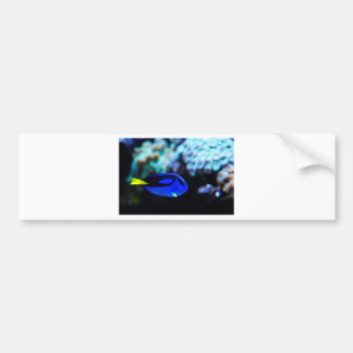 Adesivo Para Carro Dory, peixe azul de Tang