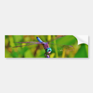 Adesivo Para Carro Dragonfly e flor