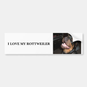 ADESIVO PARA CARRO DSCF0313, EU AMO MEU ROTTWEILER