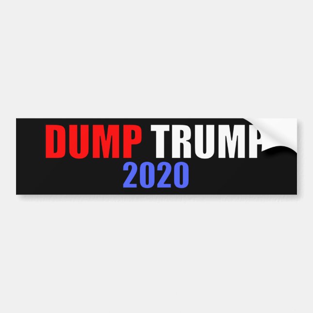 Adesivo Para Carro Dump Trump 2020 Anti-Trump (Frente)