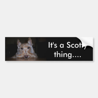 Adesivo Para Carro É uma coisa de Scotty…