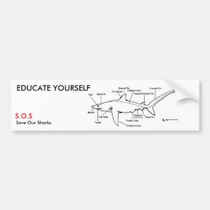 ADESIVO PARA CARRO EDUQUE-SE