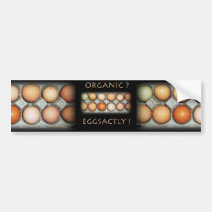 ADESIVO PARA CARRO EGGSACTLY