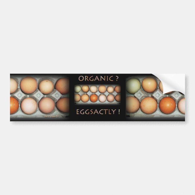 ADESIVO PARA CARRO EGGSACTLY (Frente)