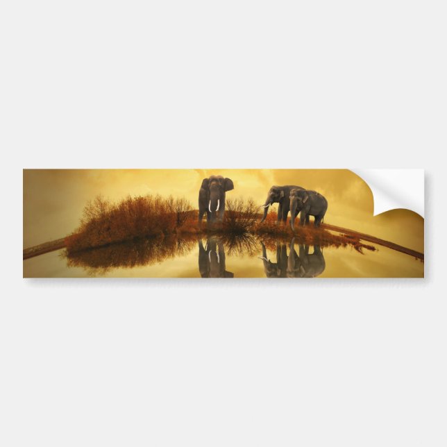 Adesivo Para Carro Elefante (Frente)