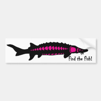 Adesivo Para Carro encontre os peixes, PINK2