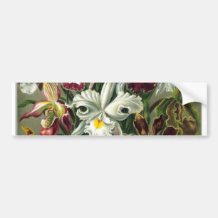 Adesivo Para Carro encontro romântico floresce rsvp chic colorido