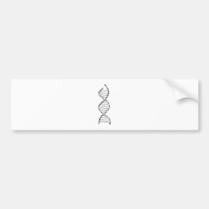 Adesivo Para Carro Engraçado DNA ciclando Bicicleta Corrente Montanha