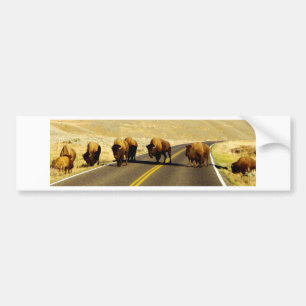 Adesivo Para Carro Engrenagem do búfalo de Yellowstone