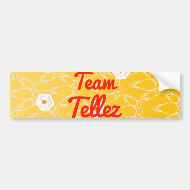 Adesivo Para Carro Equipe Tellez (Frente)