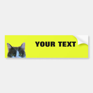 Adesivo Para Carro Espreitando o gato seu texto "fólio extremamente