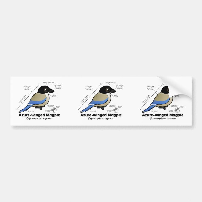 Adesivo Para Carro estatísticas Azure-voadas do Magpie (Frente)