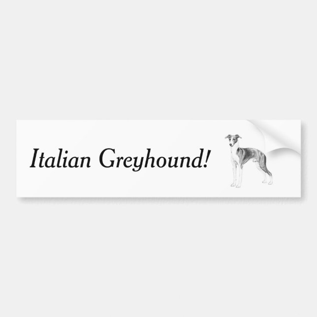 Adesivo Para Carro Estilo de Greyhound Italiano (Frente)