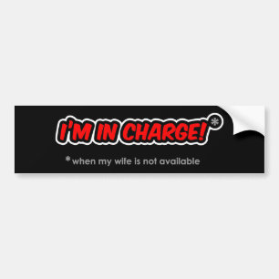 Adesivo Para Carro Estou no comando (quando minha esposa não está d