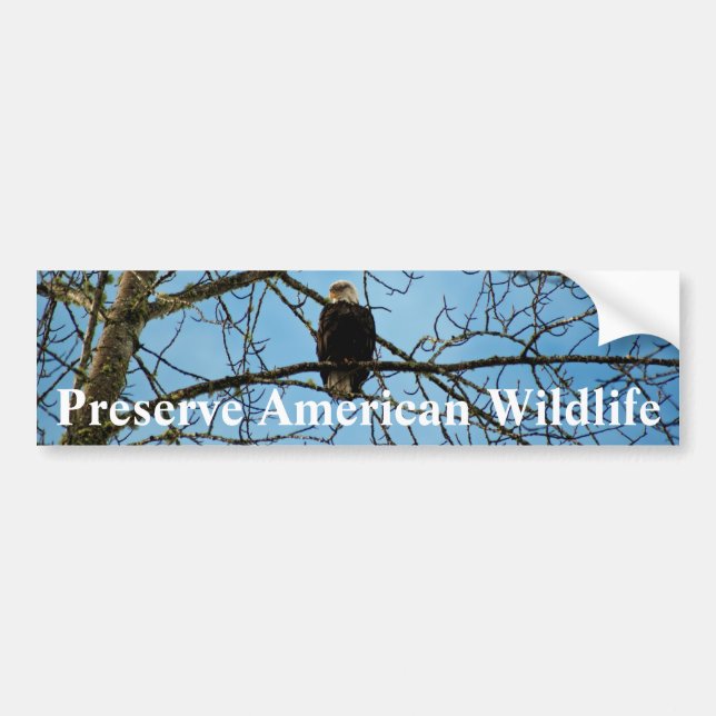 Adesivo Para Carro Estou te observando (Frente)