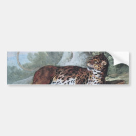 Adesivo Para Carro Estudo de um Leopardo (por Jean-Baptiste Oudry)