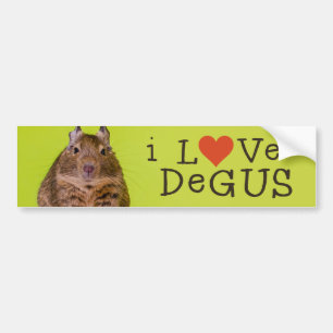 Adesivo Para Carro Eu amo Degus