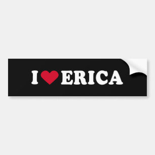 ADESIVO PARA CARRO EU AMO ERICA