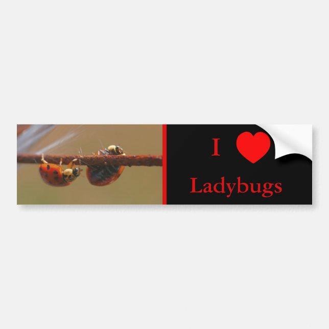 Adesivo Para Carro Eu Amo Heart Ladybugs Nature (Frente)