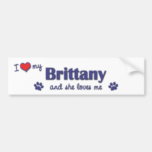 Adesivo Para Carro Eu amo meu Brittany (o cão fêmea)