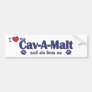 Adesivo Para Carro Eu amo meu Cav-UM-Malte (o cão fêmea)