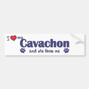 Adesivo Para Carro Eu amo meu Cavachon (o cão fêmea)