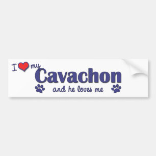 Adesivo Para Carro Eu amo meu Cavachon (o cão masculino)