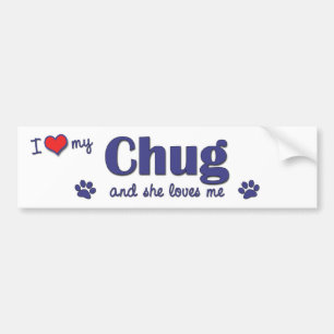 Adesivo Para Carro Eu amo meu Chug (o cão fêmea)