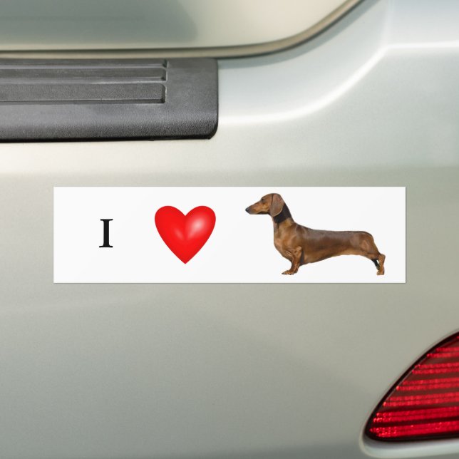 Adesivo Para Carro Eu Amo Meu Coração Vermelho Dachshund (No carro)
