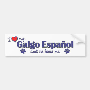 Adesivo Para Carro Eu amo meu Galgo Espanol (o cão masculino)