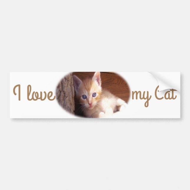 Adesivo Para Carro Eu amo meu Gato Bumper Sticker (Frente)