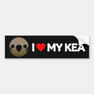 ADESIVO PARA CARRO EU AMO MEU KEA