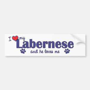 Adesivo Para Carro Eu amo meu Labernese (o cão masculino)