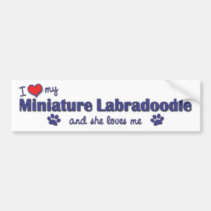 Adesivo Para Carro Eu amo meu Labradoodle diminuto (o cão fêmea)