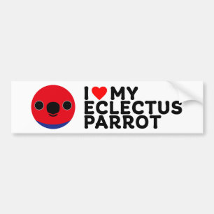 Adesivo Para Carro EU AMO MEU PAPAGAIO ECLECTUS - Fêmea