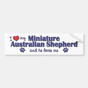 Adesivo Para Carro Eu amo meu pastor australiano diminuto (o cão