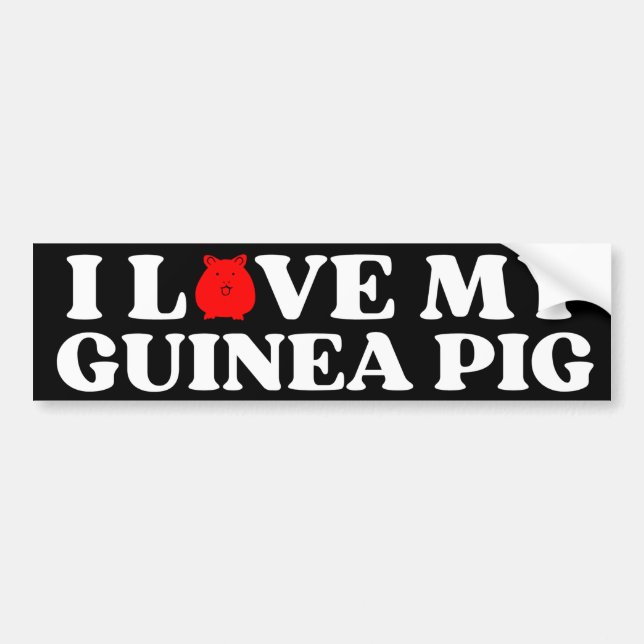 Adesivo Para Carro eu amo meu PIG GUINÉ (Frente)