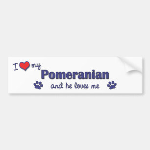 Adesivo Para Carro Eu amo meu Pomeranian (o cão masculino)