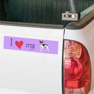 Adesivo Para Carro Eu amo meu Rat Terrier