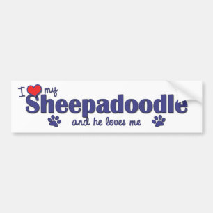 Adesivo Para Carro Eu amo meu Sheepadoodle (o cão masculino)