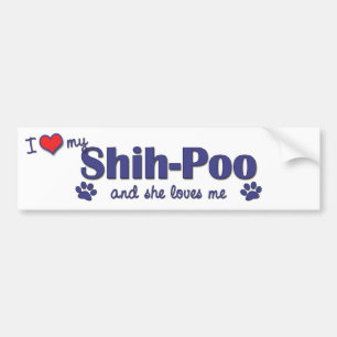 Adesivo Para Carro Eu amo meu Shih-Poo (o cão fêmea)