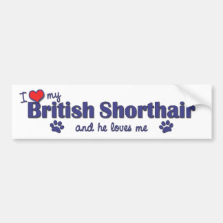 Adesivo Para Carro Eu amo meu Shorthair britânico (o gato masculino)